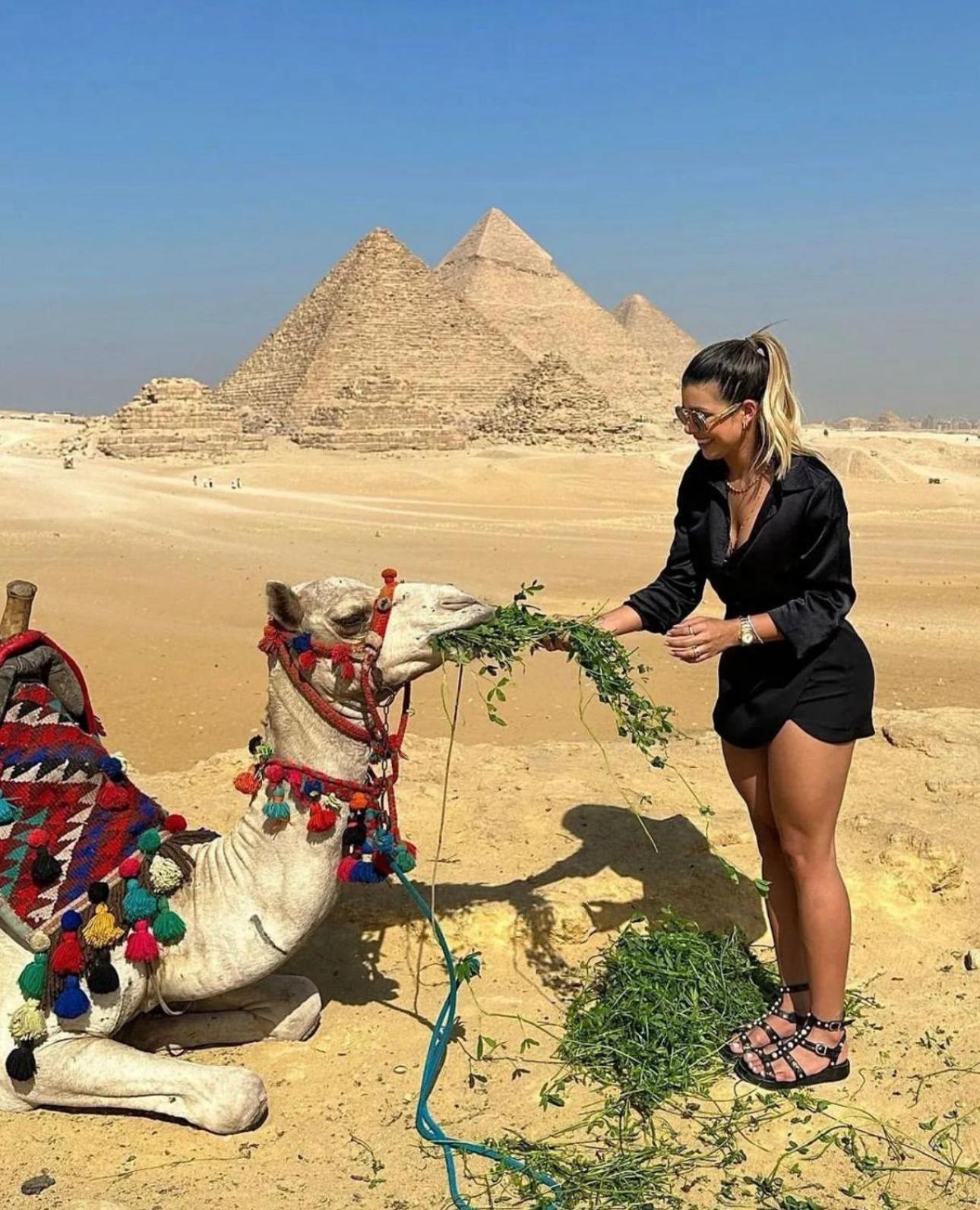 Gasthof Papyrus Pyramids